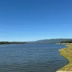 El Ciervo de Oro