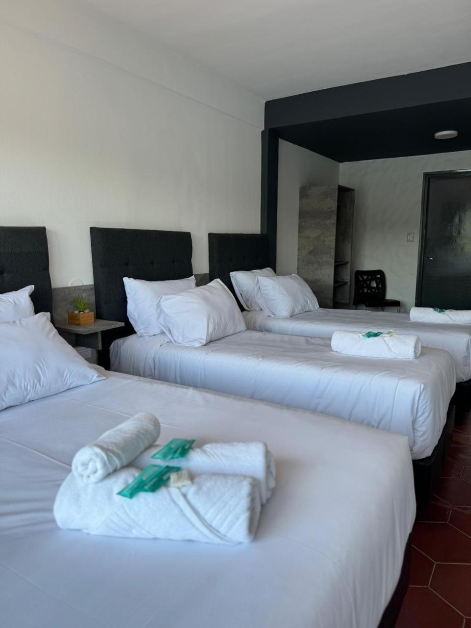 Hostal El Ciervo De Oro